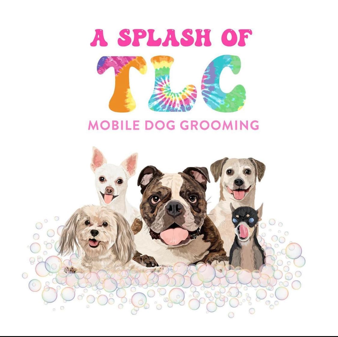 A Splash of TLC - A Top Mobile Dog Groomer - Mobile dog grooming in Los Angeles, CA