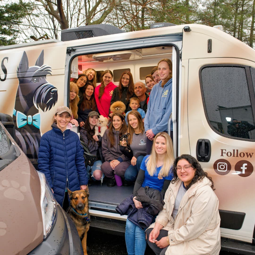 DapperTails Mobile Pet Grooming of St Louis - Mobile dog grooming in Saint Charles, MO