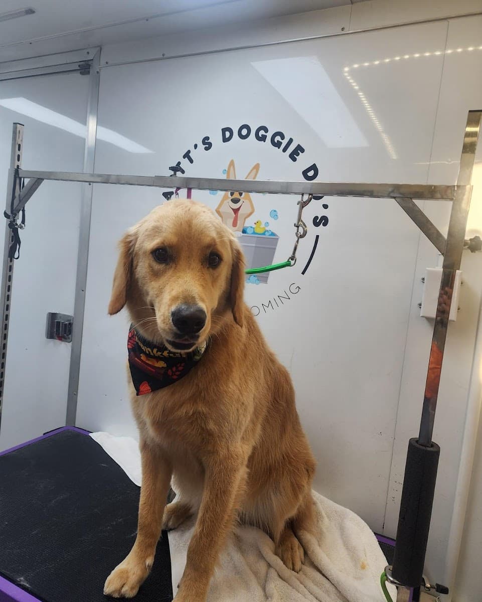 Dartt's Doggie Do's Mobile dog Grooming - Mobile dog grooming in Bakerville, TN