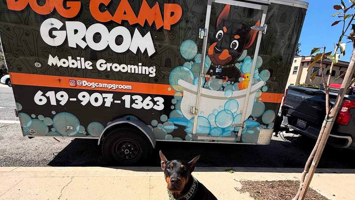Dog Camp Groom-San Diego Mobile Grooming - Mobile dog grooming in Escondido, CA