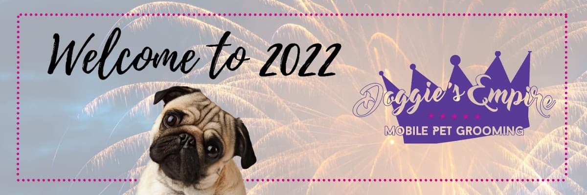 Doggie's Empire Mobile Pet Grooming Central Florida - Mobile dog grooming in Orlando, FL