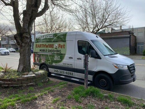 EarthWise Pet Cat and Dog Mobile Grooming Services - Mobile dog grooming in Marysville, WA
