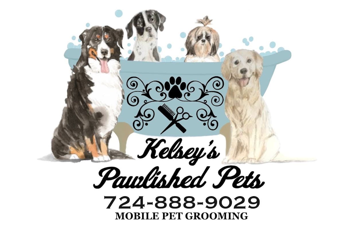 Kelsey's Pawlished Pets - Mobile Pet Grooming - Mobile dog grooming in Emsworth, PA