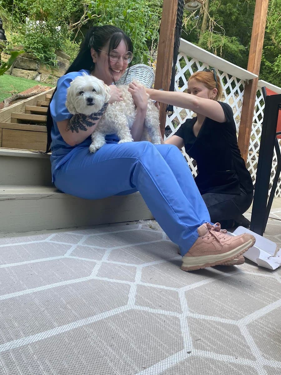 Low Stress Pet Services - Mobile Grooming - Mobile dog grooming in West Alexander, PA