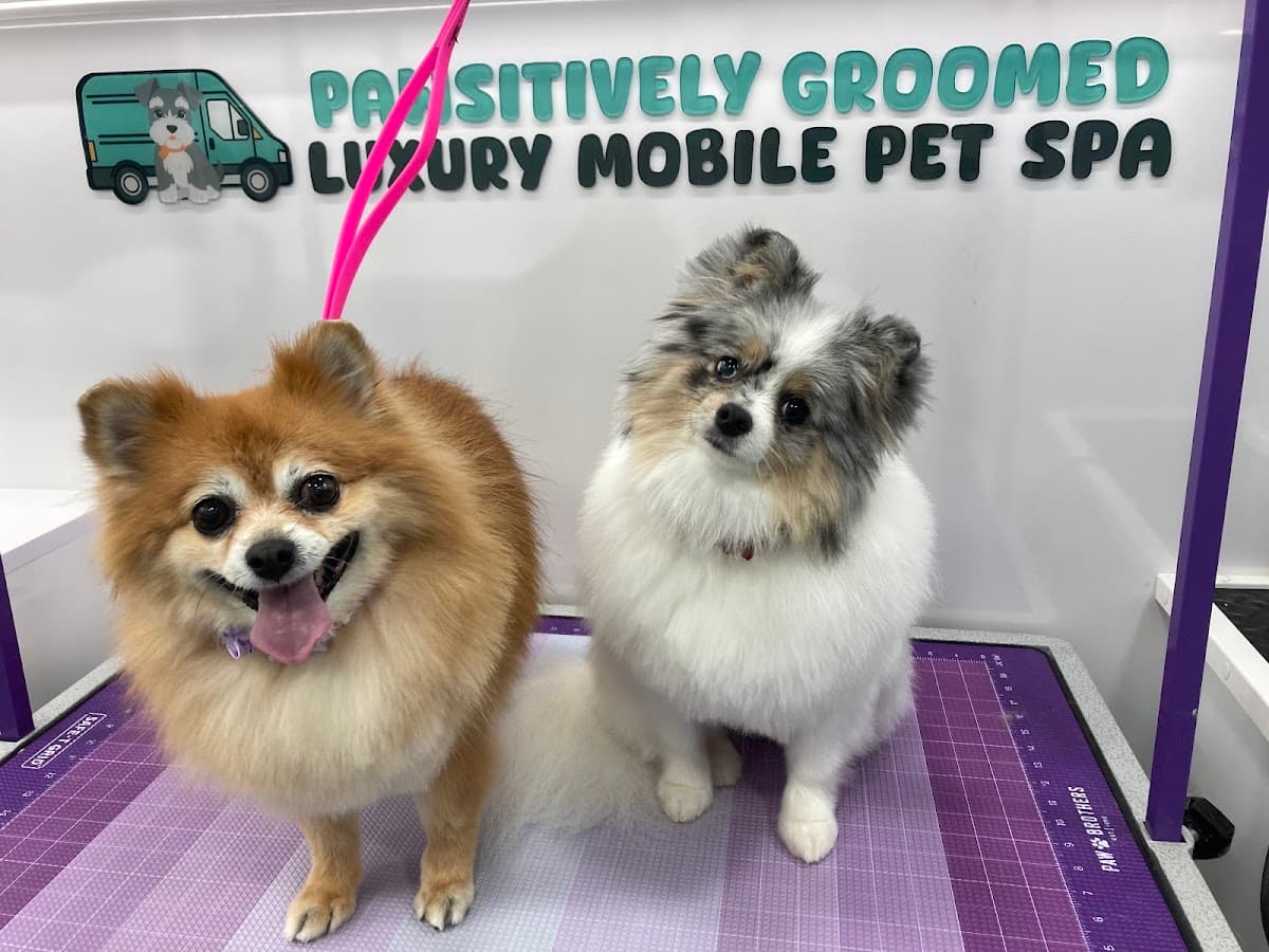 Pawsitively Groomed Luxury Mobile Pet Spa - Mobile dog grooming in Jacksonville, FLORIDA