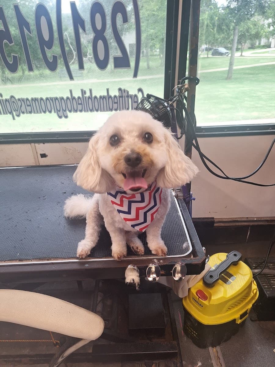 Pink Poochies,LLC : Mobile dog groomer Missouri City & Pearland TX - Mobile dog grooming in Alvin, TX