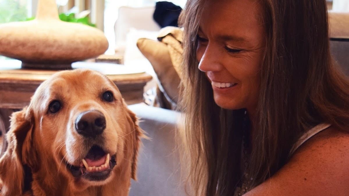 Tail's in the City Pet Mobile Greater Nashville & Middle TN - Mobile dog grooming in Nashville, TN