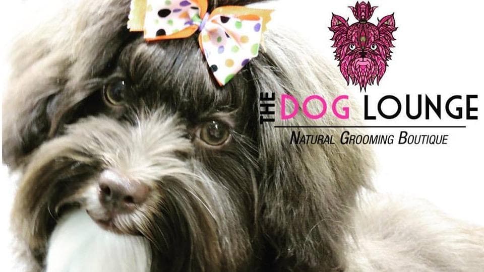 The Dog Lounge Natural Mobile Grooming Spaw - Mobile dog grooming in Fort Lauderdale, FLORIDA