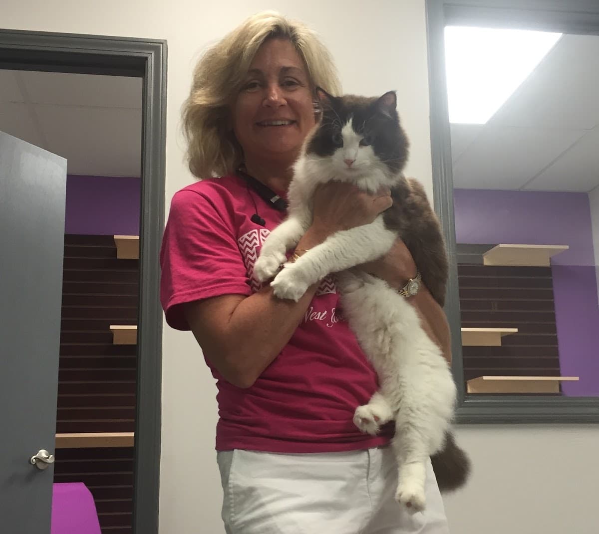 Whiskers on Kittens Boarding and Dog and Cat Grooming - Mobile dog grooming in Peachtree Corners, GA