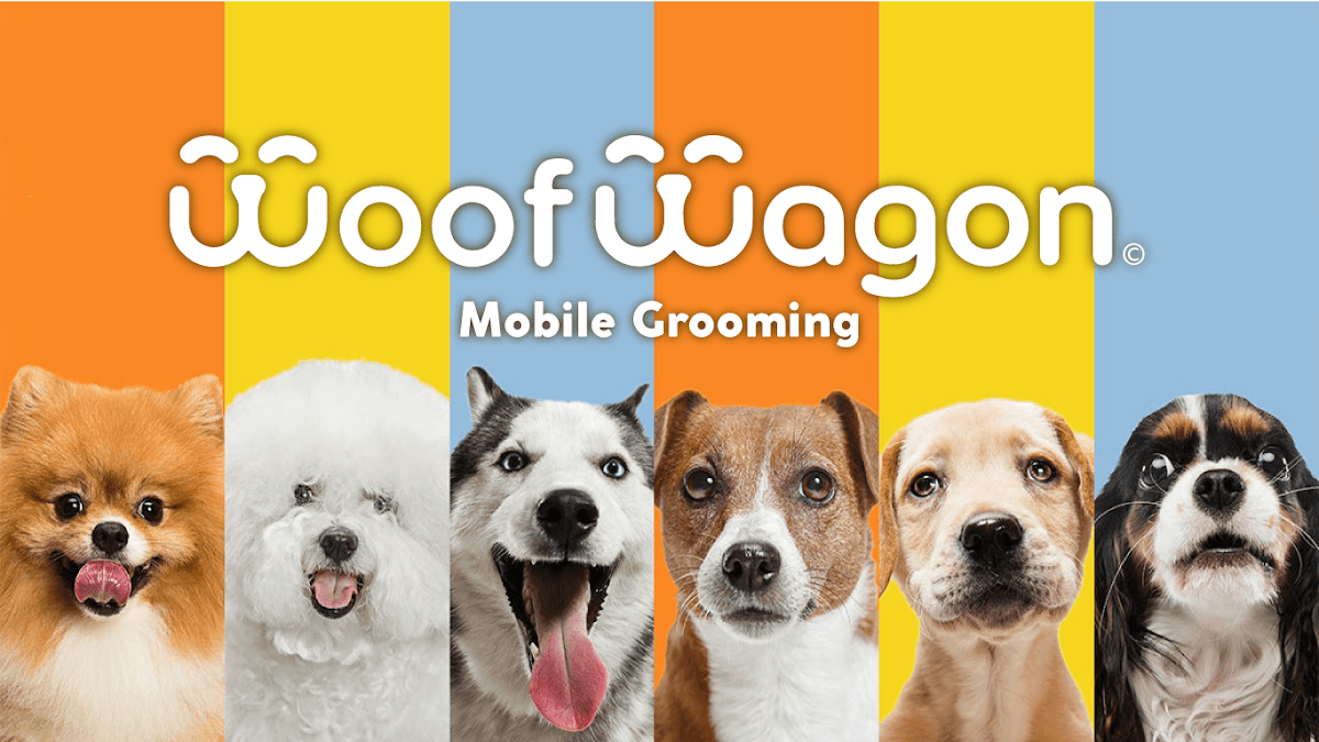 Woof Wagon LLC Mobile Grooming Service - Mobile dog grooming in Junction, WA